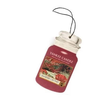 Cranberry Chutney Car Jar - Yankee Candle