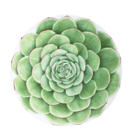 H2O, Piatto frutta - Taitu