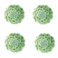 Desert Rose, Piatto frutta 4 pezzi - Taitu