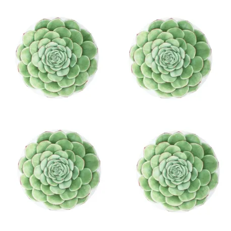 Desert Rose, Piatto frutta 4 pezzi - Taitu