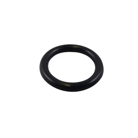 Guornizione delle bombole di CO2 per spillatrice di birra BeerMaster - Caso