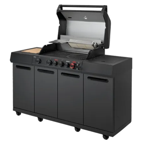 Barbecue a gas, Uniq 4 Iko kitchen Shadow Cruster - Enders