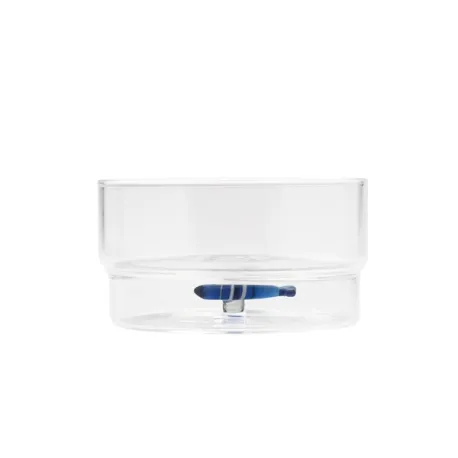 Teca Mare, Bowl pesce sardina blu - Zafferano