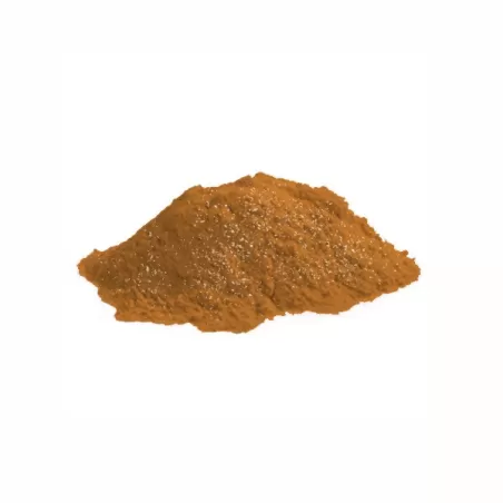 Colorante in polvere perlescente bronzo - Decora