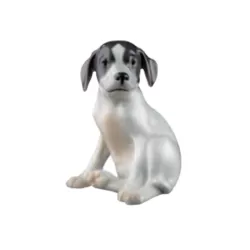 Cucciolo di Pointer - Royal Copenhagen