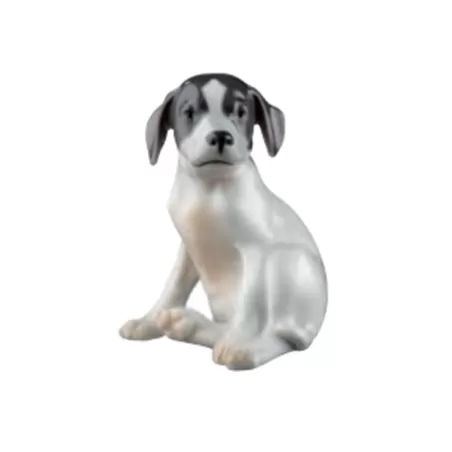 Cucciolo di Pointer - Royal Copenhagen