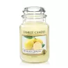 Fragranze Fruttate - Yankee Candle