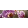 Rêves de Fleurs - Lampe Berger