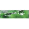 Rêves de Fraîcheur - Lampe Berger