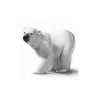 Orsi polari - Lladrò